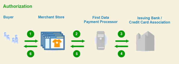 Credit Card Processing-authorization phase infographic